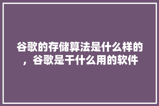 谷歌的存储算法是什么样的，谷歌是干什么用的软件 搜狗SEO