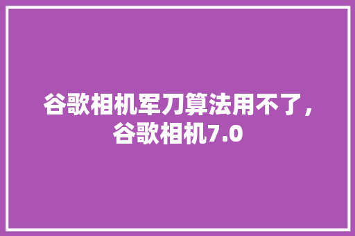 谷歌相机军刀算法用不了，谷歌相机7.0 必应SEO