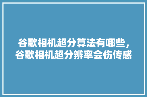 谷歌相机超分算法有哪些，谷歌相机超分辨率会伤传感器吗 神马SEO