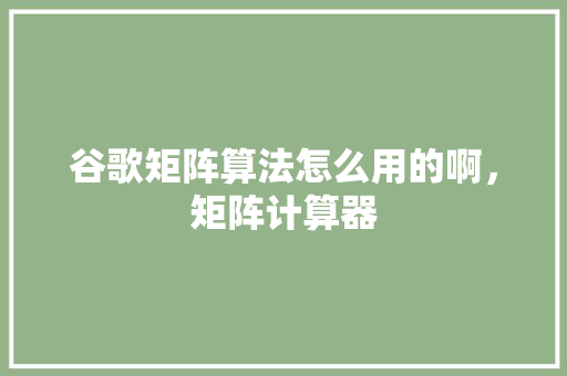 谷歌矩阵算法怎么用的啊，矩阵计算器 必应SEO
