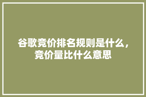 谷歌竞价排名规则是什么，竞价量比什么意思 百度SEO