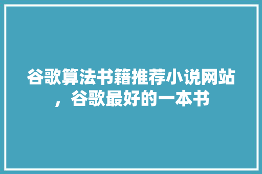 谷歌算法书籍推荐小说网站，谷歌最好的一本书 必应SEO