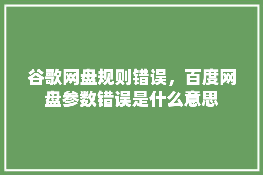 谷歌网盘规则错误，百度网盘参数错误是什么意思 必应SEO