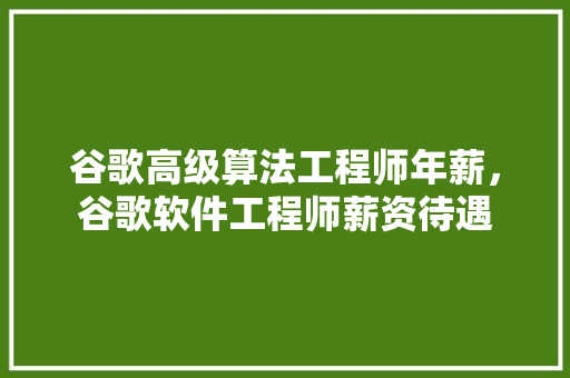 谷歌高级算法工程师年薪，谷歌软件工程师薪资待遇 GoogleSEO