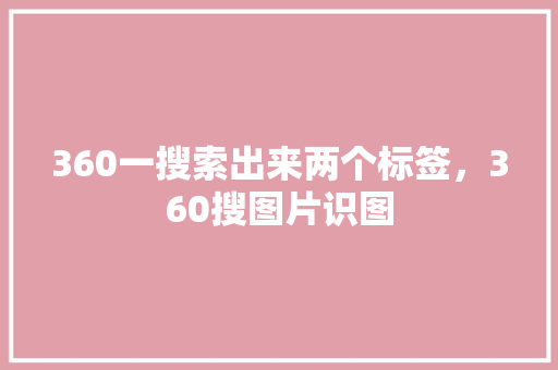 360一搜索出来两个标签，360搜图片识图 神马SEO