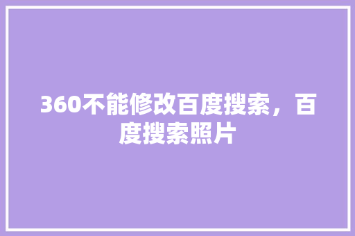 360不能修改百度搜索，百度搜索照片 GoogleSEO