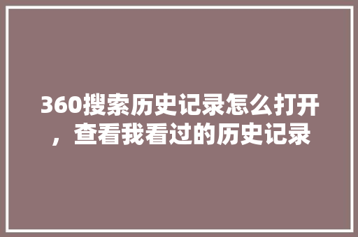 360搜索历史记录怎么打开，查看我看过的历史记录