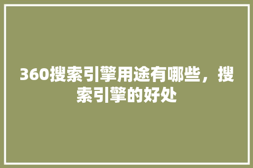 360搜索引擎用途有哪些，搜索引擎的好处