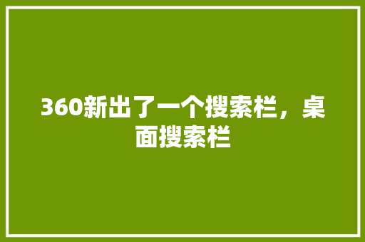 360新出了一个搜索栏，桌面搜索栏 GoogleSEO