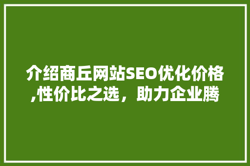 介绍商丘网站SEO优化价格,性价比之选，助力企业腾飞 GoogleSEO