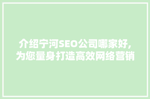 介绍宁河SEO公司哪家好,为您量身打造高效网络营销步骤 百度SEO