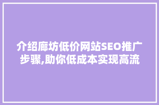 介绍廊坊低价网站SEO推广步骤,助你低成本实现高流量 GoogleSEO