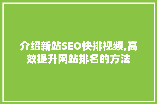 介绍新站SEO快排视频,高效提升网站排名的方法