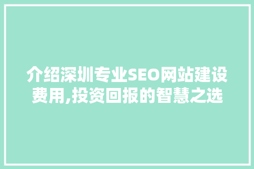 介绍深圳专业SEO网站建设费用,投资回报的智慧之选 神马SEO