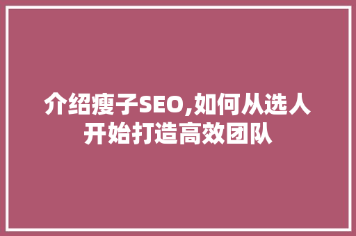 介绍瘦子SEO,如何从选人开始打造高效团队