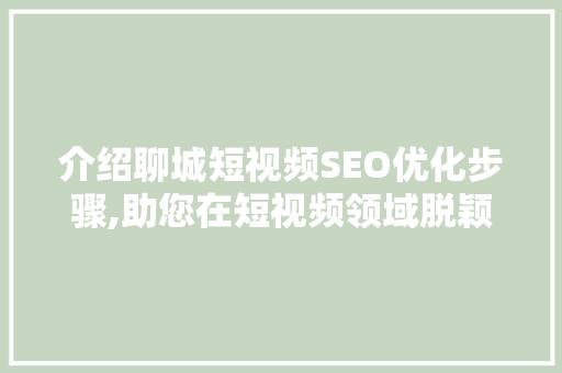 介绍聊城短视频SEO优化步骤,助您在短视频领域脱颖而出