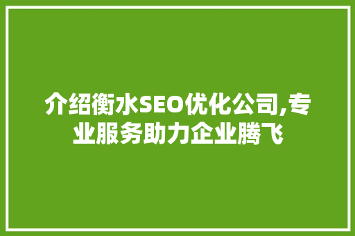 介绍衡水SEO优化公司,专业服务助力企业腾飞 GoogleSEO
