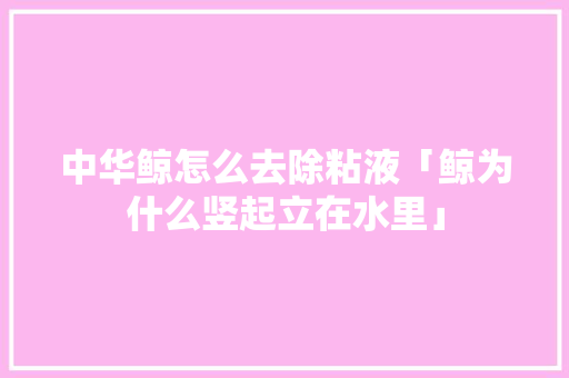 中华鲸怎么去除粘液「鲸为什么竖起立在水里」 中华鲸怎么去除粘液「鲸为什么竖起立在水里」 搜狗SEO