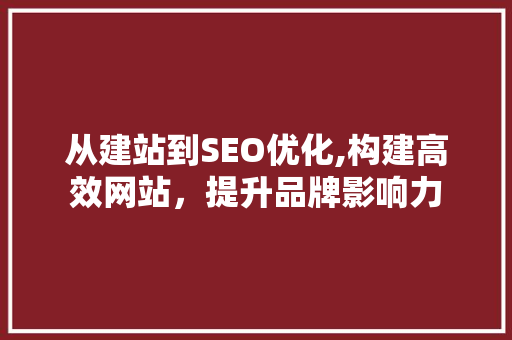 从建站到SEO优化,构建高效网站，提升品牌影响力 百度SEO