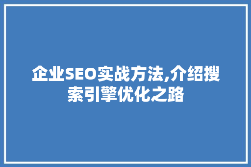 企业SEO实战方法,介绍搜索引擎优化之路 GoogleSEO