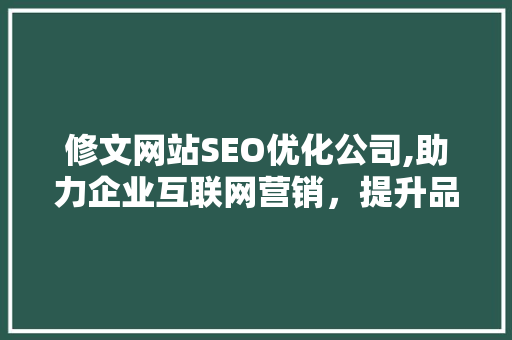 修文网站SEO优化公司,助力企业互联网营销，提升品牌影响力 必应SEO
