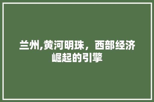 兰州,黄河明珠，西部经济崛起的引擎 百度SEO