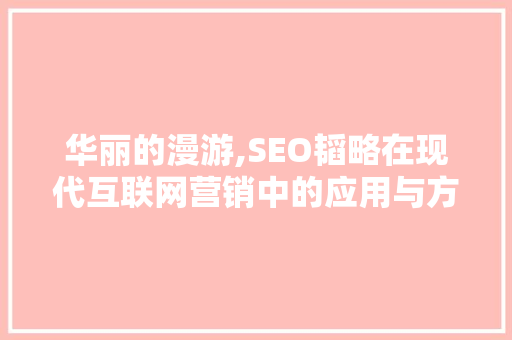 华丽的漫游,SEO韬略在现代互联网营销中的应用与方法 百度SEO