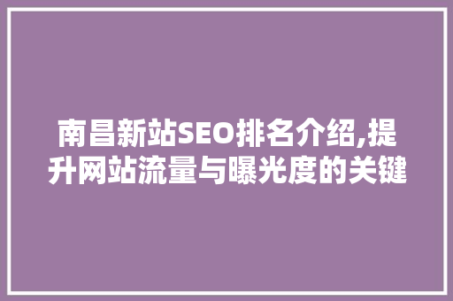 南昌新站SEO排名介绍,提升网站流量与曝光度的关键步骤 百度SEO