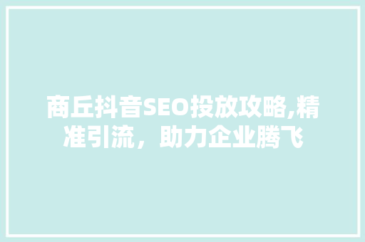 商丘抖音SEO投放攻略,精准引流，助力企业腾飞 必应SEO