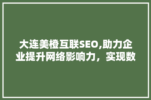大连美橙互联SEO,助力企业提升网络影响力，实现数字化转型 搜狗SEO