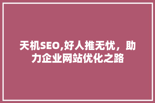 天机SEO,好人推无忧，助力企业网站优化之路 神马SEO