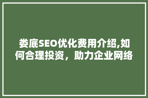娄底SEO优化费用介绍,如何合理投资，助力企业网络营销 必应SEO