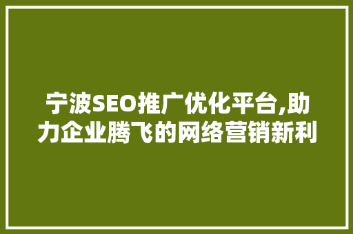 宁波SEO推广优化平台,助力企业腾飞的网络营销新利器 百度SEO