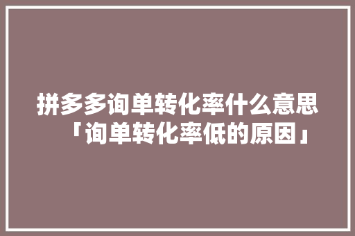 拼多多询单转化率什么意思「询单转化率低的原因」 拼多多询单转化率什么意思「询单转化率低的原因」 必应SEO
