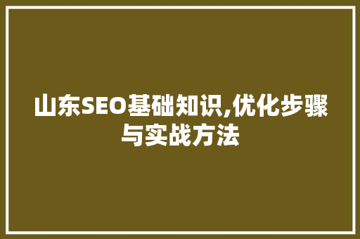 山东SEO基础知识,优化步骤与实战方法 必应SEO