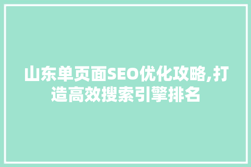 山东单页面SEO优化攻略,打造高效搜索引擎排名 百度SEO