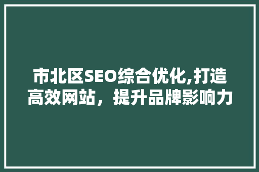 市北区SEO综合优化,打造高效网站，提升品牌影响力