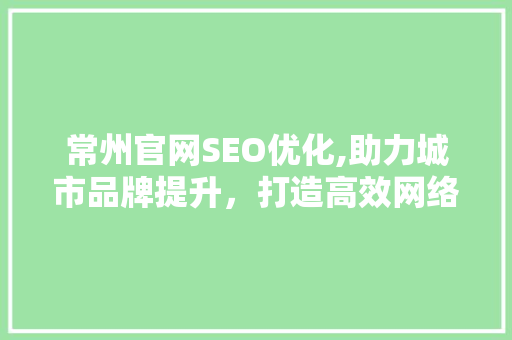 常州官网SEO优化,助力城市品牌提升，打造高效网络形象