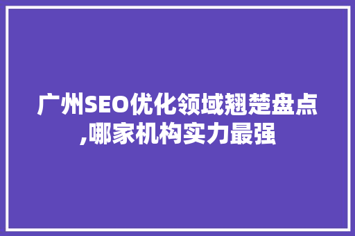 广州SEO优化领域翘楚盘点,哪家机构实力最强