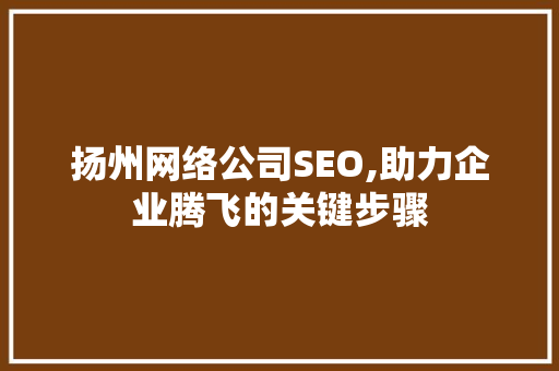 扬州网络公司SEO,助力企业腾飞的关键步骤 必应SEO