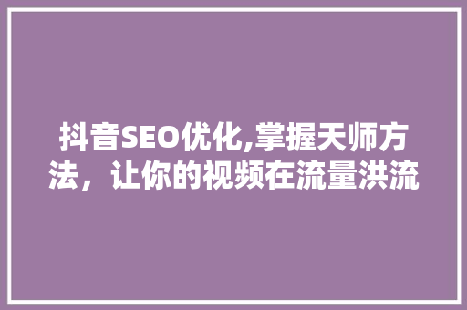 抖音SEO优化,掌握天师方法，让你的视频在流量洪流中脱颖而出