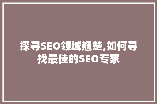 探寻SEO领域翘楚,如何寻找最佳的SEO专家 搜狗SEO