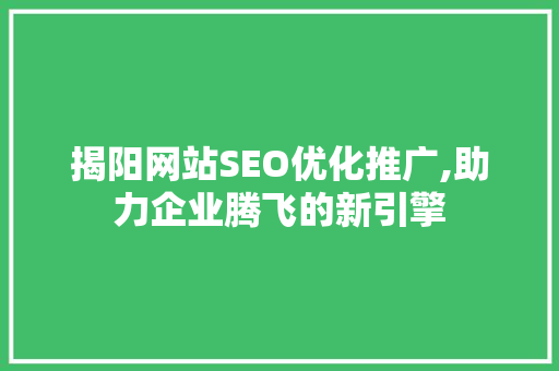 揭阳网站SEO优化推广,助力企业腾飞的新引擎 GoogleSEO