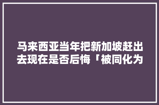 马来西亚当年把新加坡赶出去现在是否后悔「被同化为什么可怕」 马来西亚当年把新加坡赶出去现在是否后悔「被同化为什么可怕」 必应SEO
