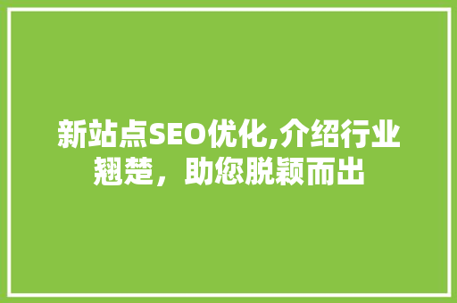 新站点SEO优化,介绍行业翘楚，助您脱颖而出 GoogleSEO