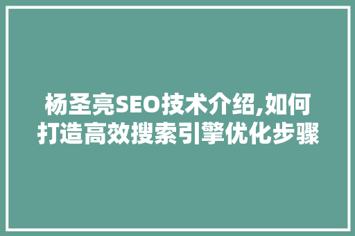 杨圣亮SEO技术介绍,如何打造高效搜索引擎优化步骤 GoogleSEO