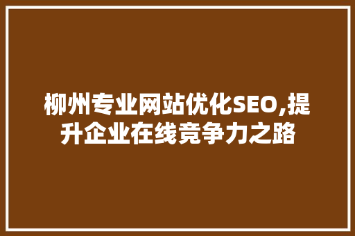 柳州专业网站优化SEO,提升企业在线竞争力之路 搜狗SEO