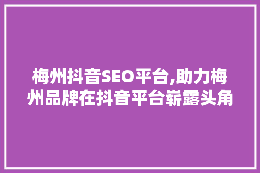 梅州抖音SEO平台,助力梅州品牌在抖音平台崭露头角 搜狗SEO
