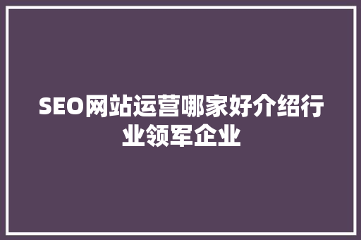 SEO网站运营哪家好介绍行业领军企业 神马SEO