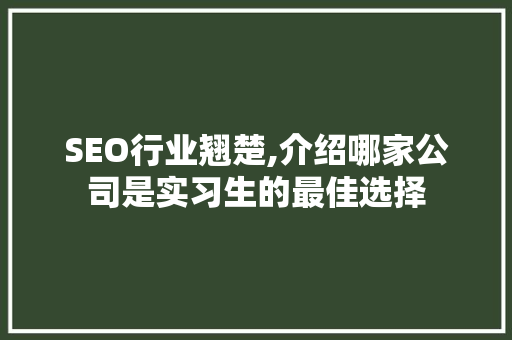 SEO行业翘楚,介绍哪家公司是实习生的最佳选择 必应SEO
